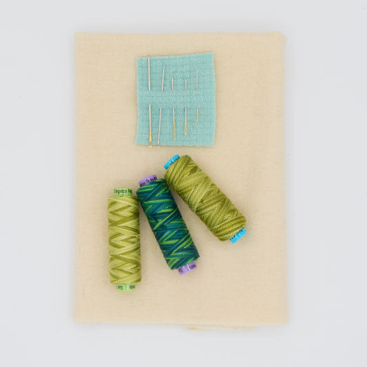 Practice Kit For WSQ Zoom Class